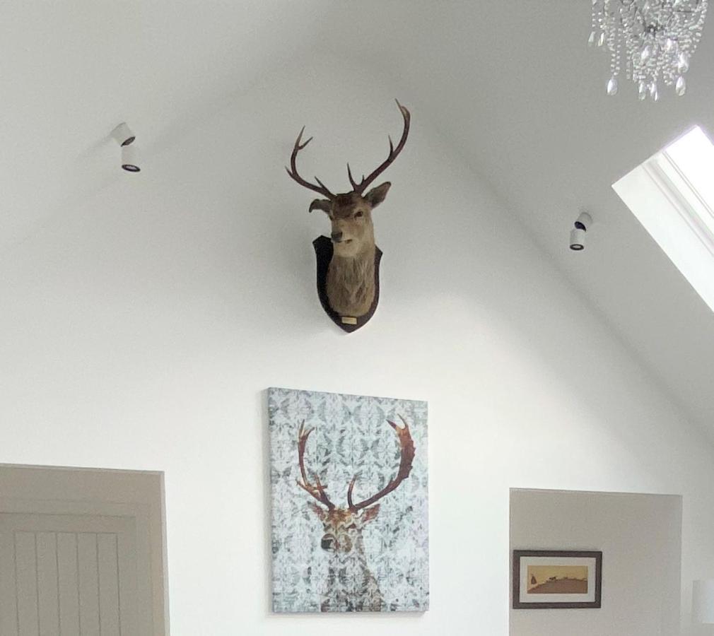 Ben Nevis Scotland Highlands, Camden House Luxury Home Fort William Exterior foto